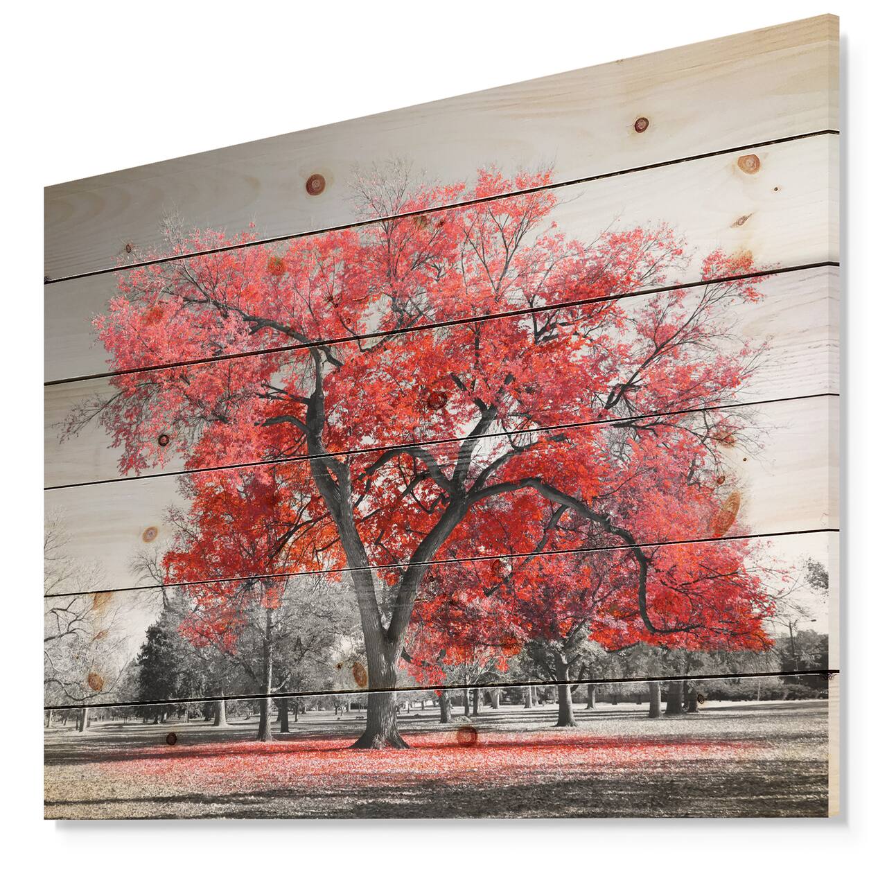Designart - Big Red Tree on Foggy Day - Landscape Print on Natural Pine Wood